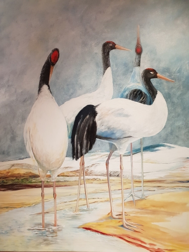 En route pour Darchen