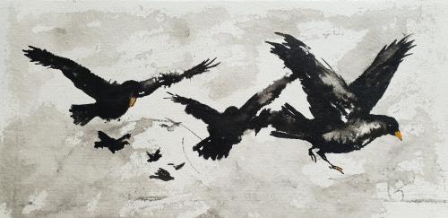 Série Les oiseaux noirs